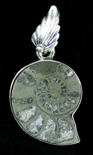 Pyritized Ammonite Fossil Pendant - Sterling Silver #21010